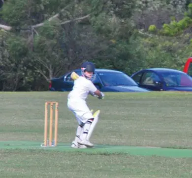 Man plays Cricket