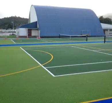 TigerTurf Trophy in Coromandel Area