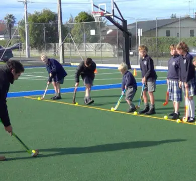 TigerTurf Artificial Grass at Trophy St Josephs