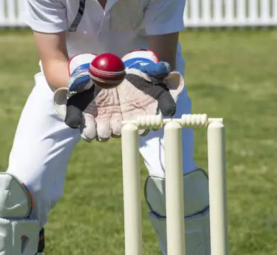 Cricket Australia's new gender rules