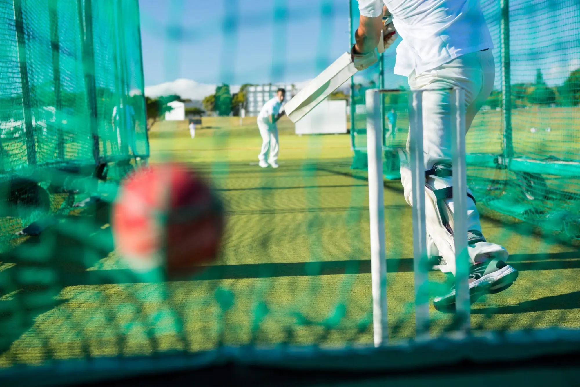 A fast and true cricket wicket pitch