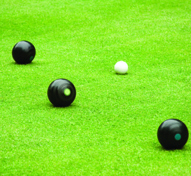 Bowling Green Artificial Turf
