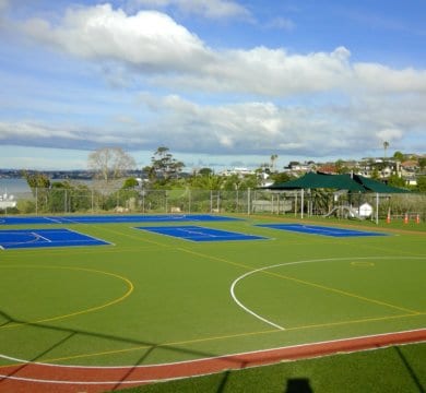 Multi Sport Artificial Synthetic Turf