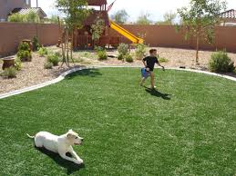 dogs on turf