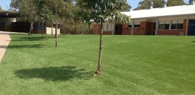Newington Public School, Landscape and trees