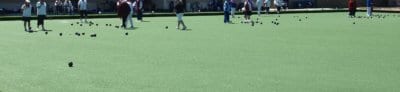 Turf Case Study for Stansbury Bowling Club