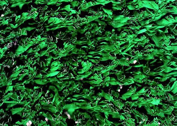 Color Forest Green