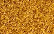 Color Yellow