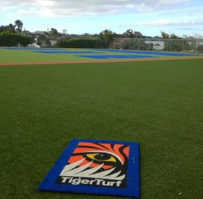 Glendowie Primary Multi sport field