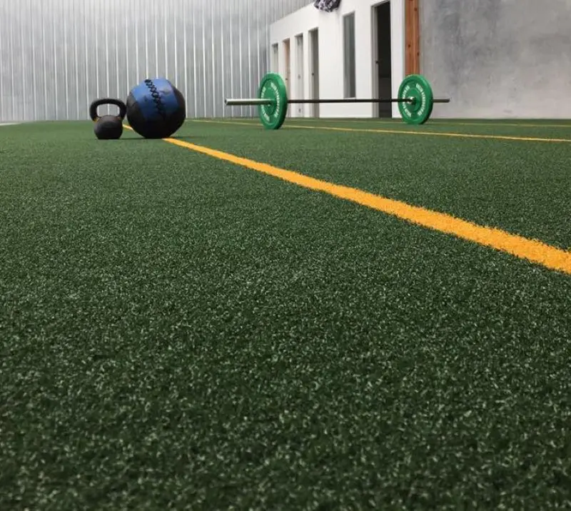 Phoenix crossfit long dumbell