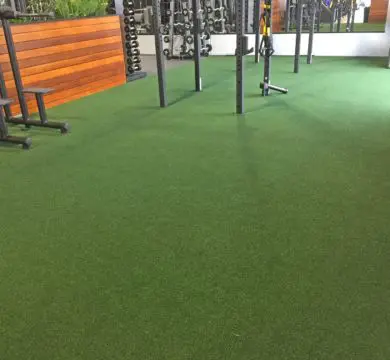 Gyms 5