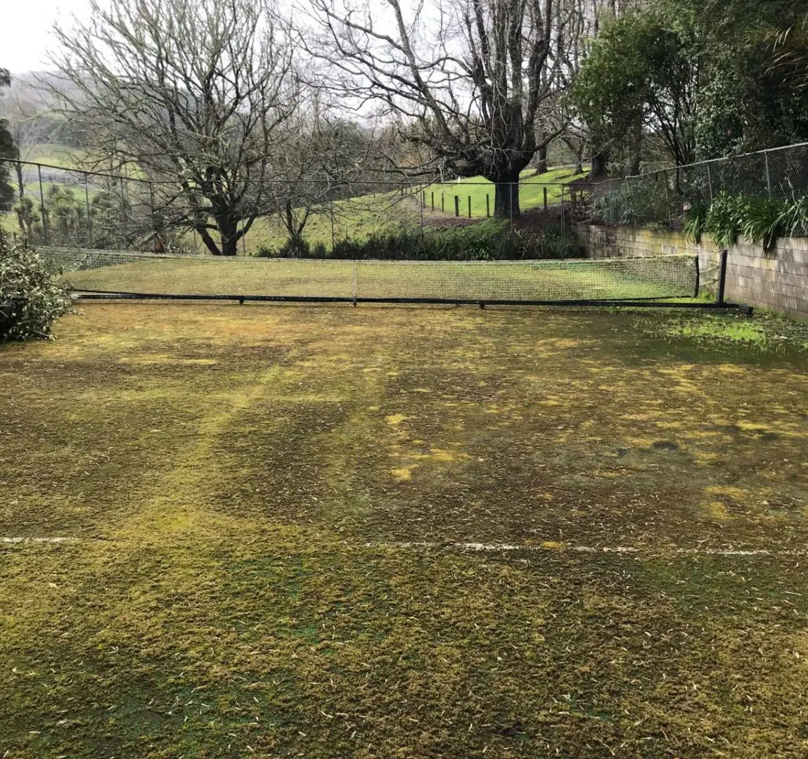 Before tigerturf maintenance