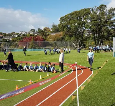 Synthetic grass