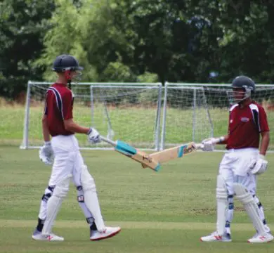 Cricket