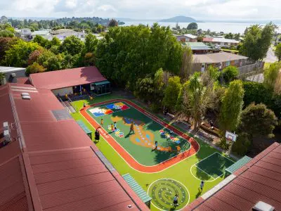TigerTurf Rotorua  x