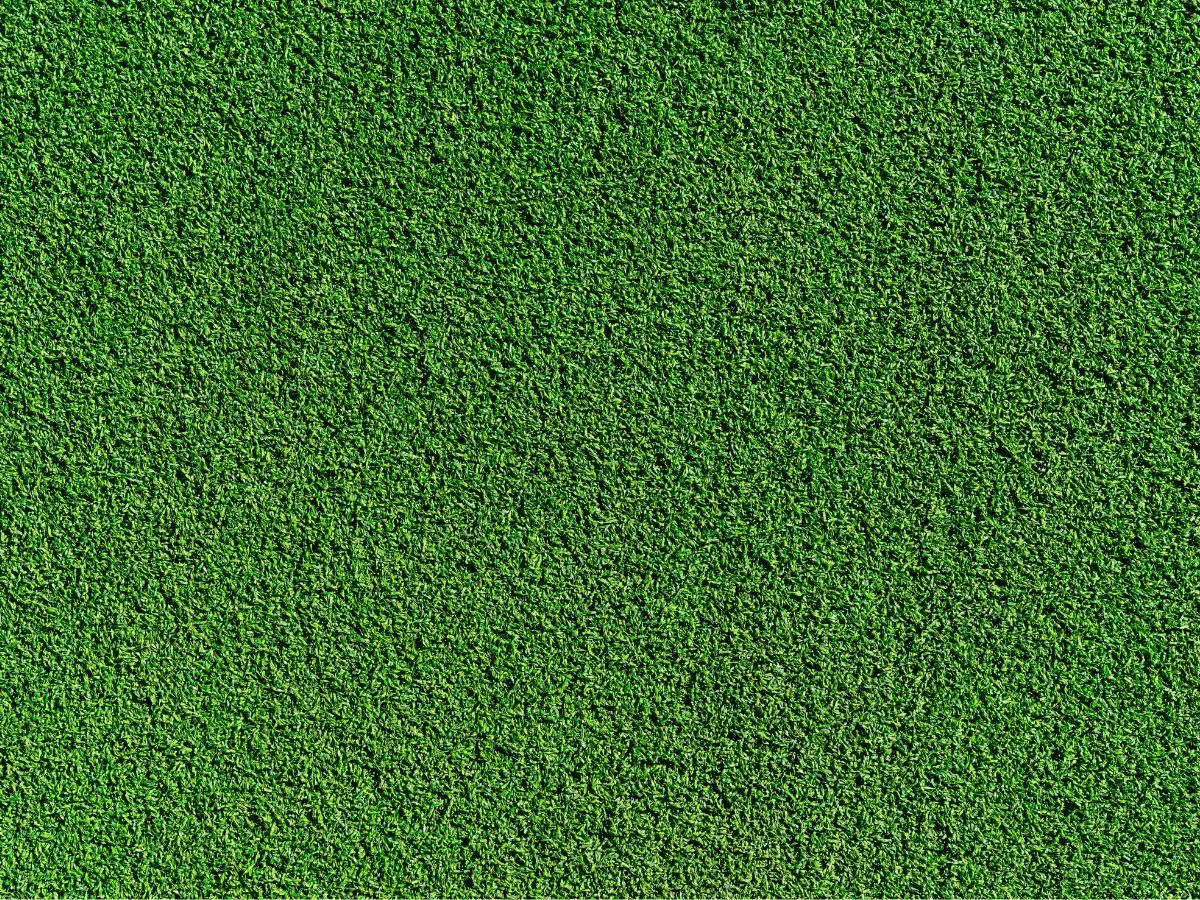 Artificial grass