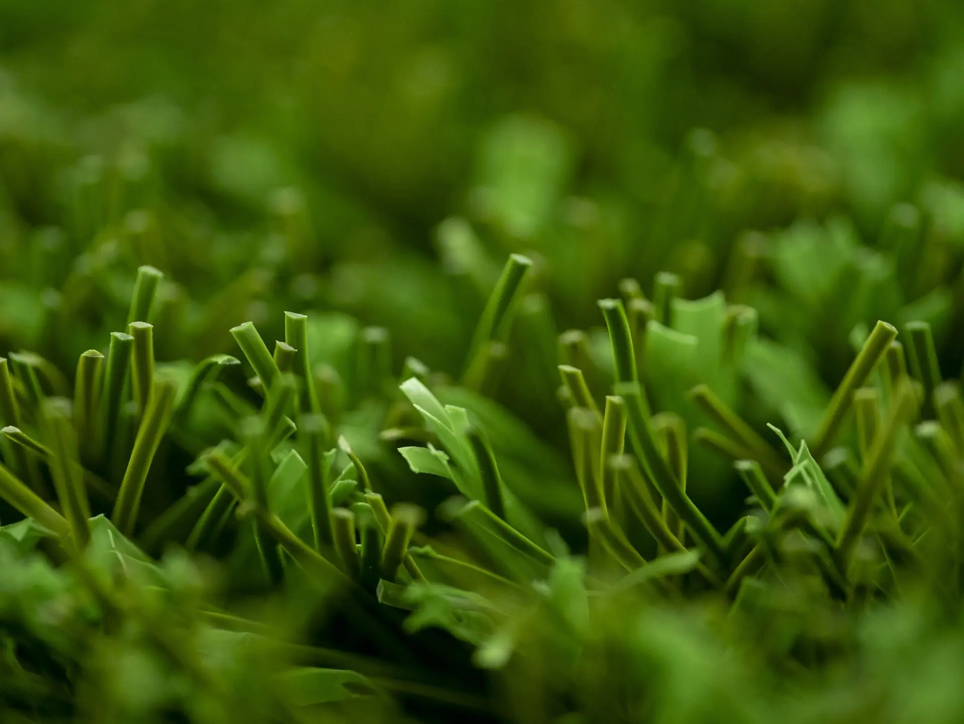 Consistent, high performance playing conditions