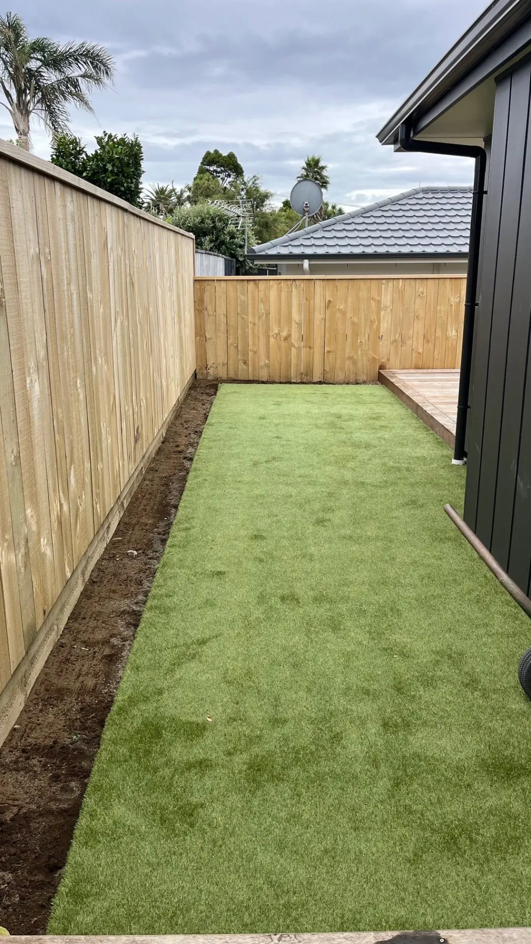 A Low-Maintenance Lawn for Modern Rental Living