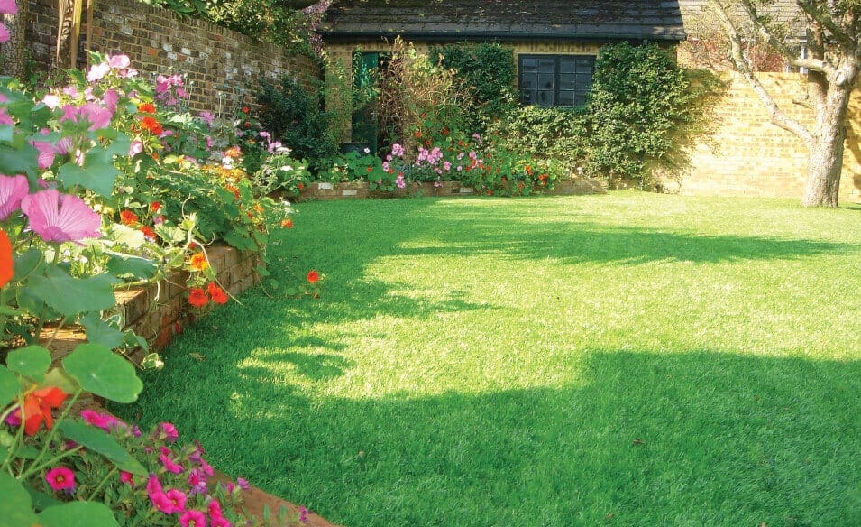 Domestic landscape with tiger turf articifical grass