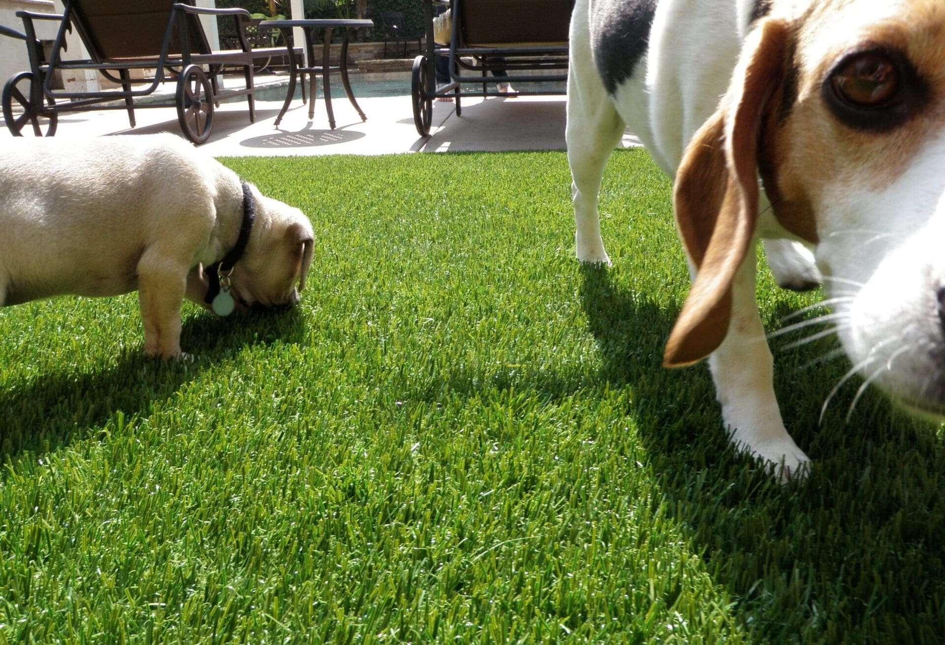 For a perfectly manicured lawn