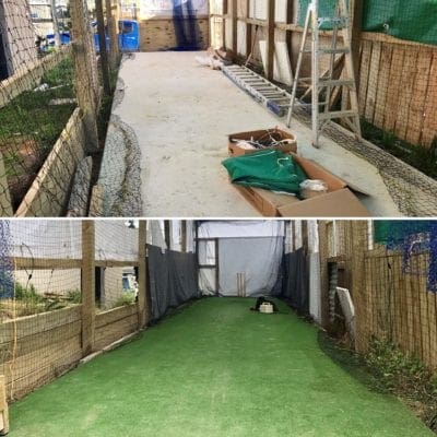 Backyard cricket