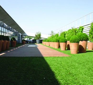 Top tips for adding greenery to your rooftop area