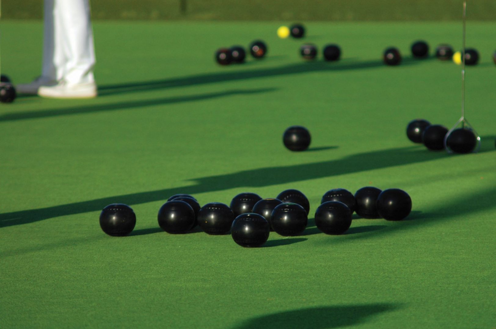 6 Reasons To Use An Artificial Turf For Bowling Green TigerTurf NZ
