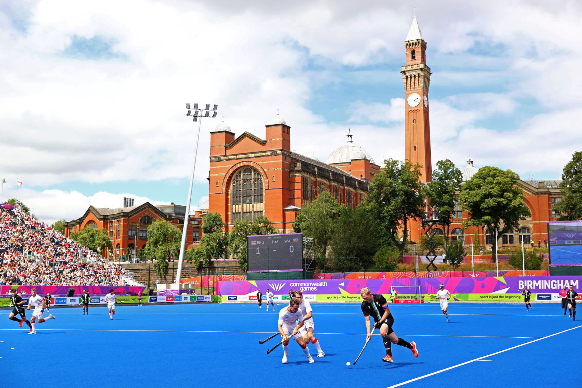 Tiger Turf Artificial Grass & Synthetic Turf Supplier UK | TigerTurf