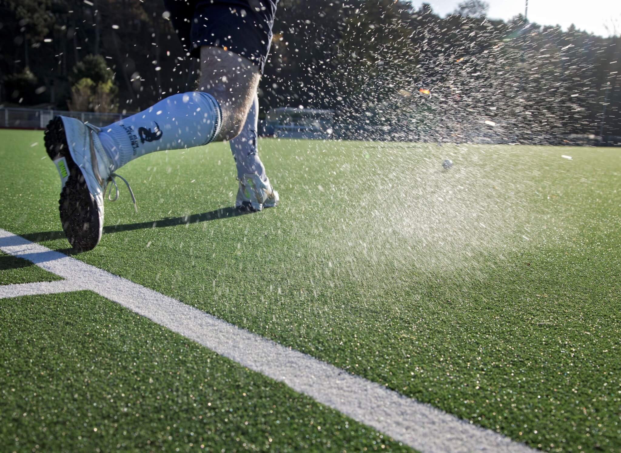 Six Questions To Help You Choose The Right Synthetic Turf TigerTurf