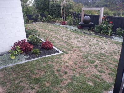 Loveday backyard before artificial grass installed made by TigerTurf New Zealand