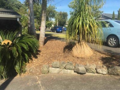 Nikau Before artificial grass installed