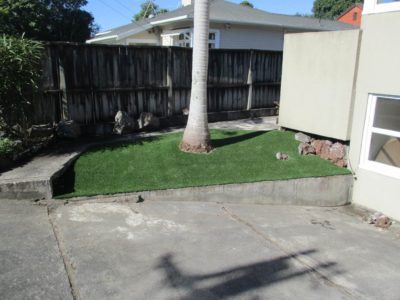 Another View Beautiful Nikau artificial grass made by TigerTurf New Zealand