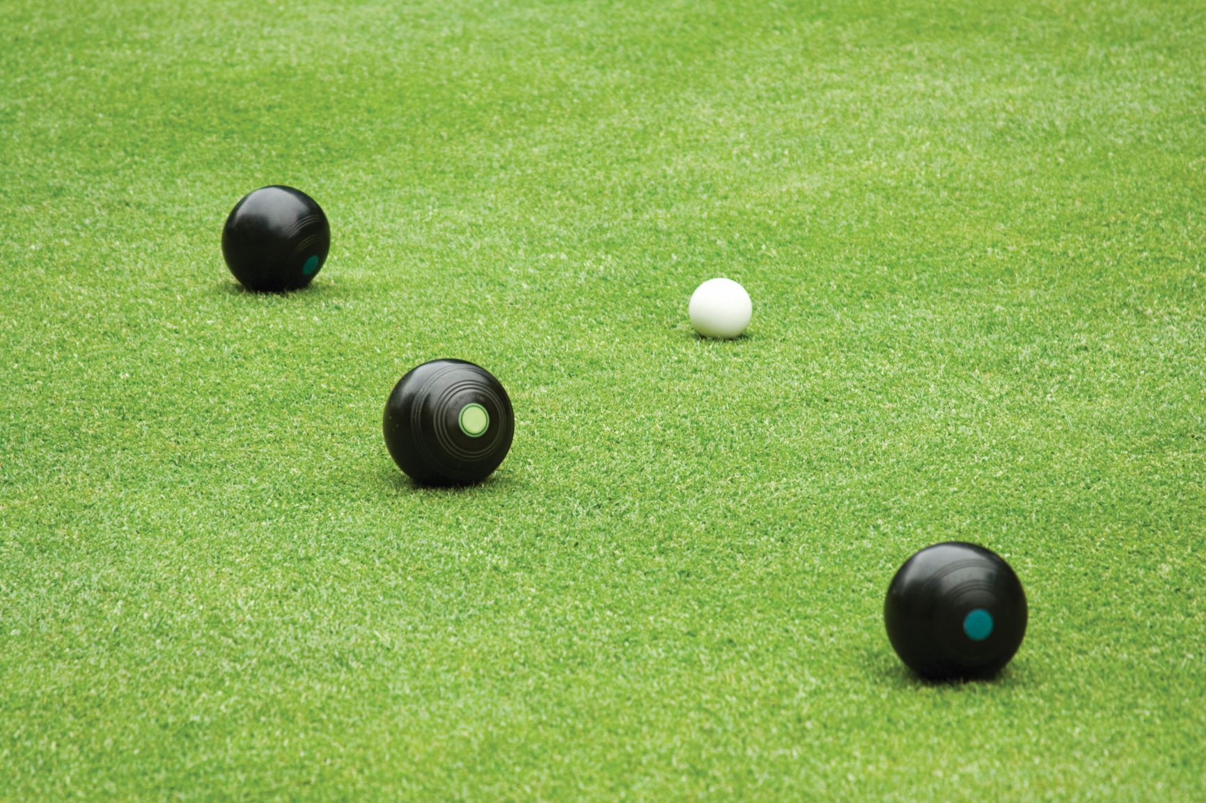 6 Reasons To Use An Artificial Turf For Bowling Green | TigerTurf NZ